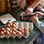 Fra jord til bord: Sådan lærer børn om madens oprindelse